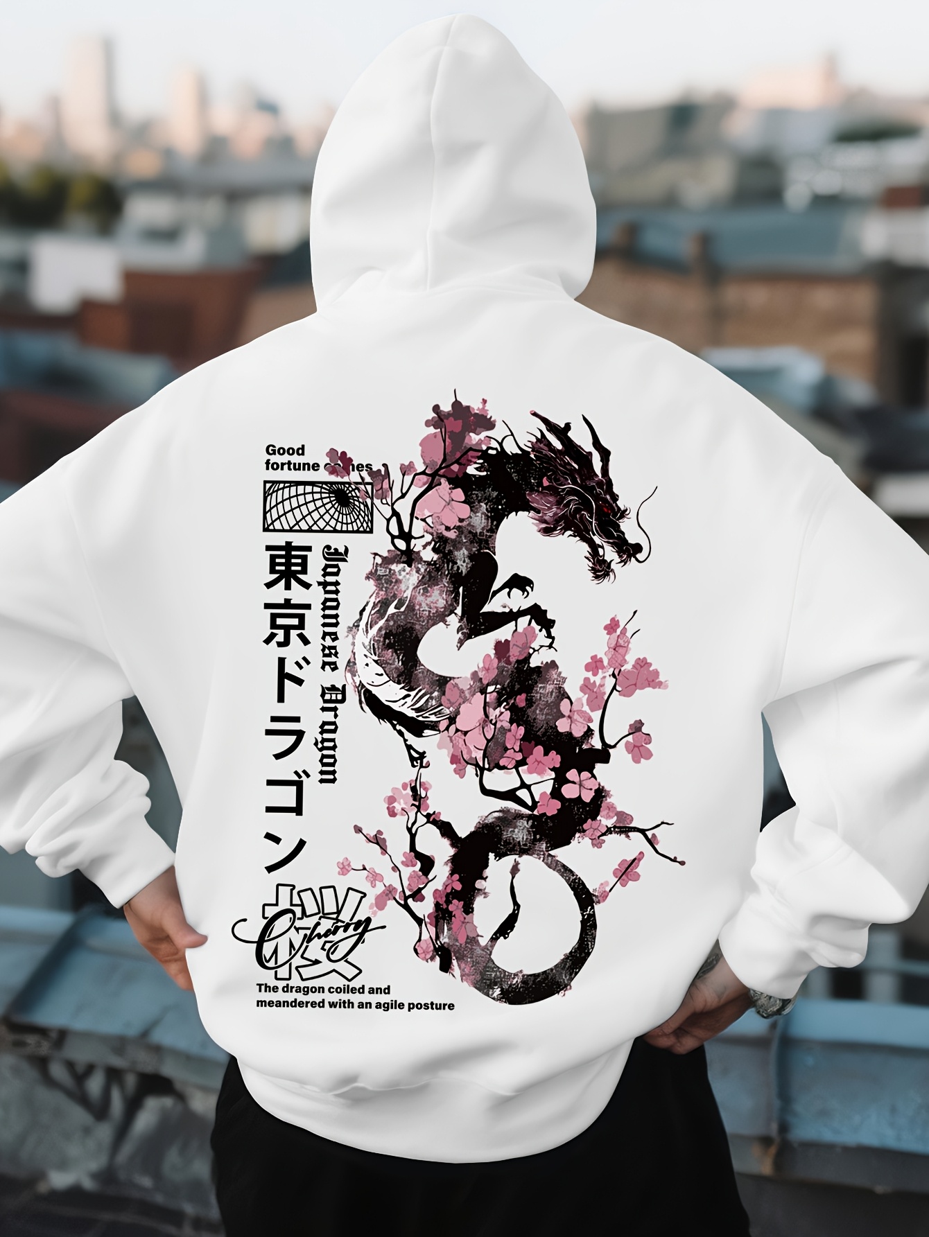 Mens Hip Hop Sports Hoodie Aes - огляд і ціна Street Fashion Asian
